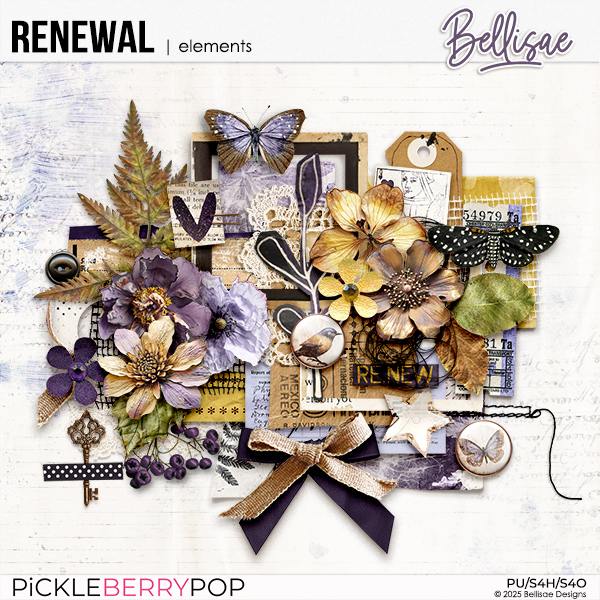 RENEWAL | elements by Bellisae