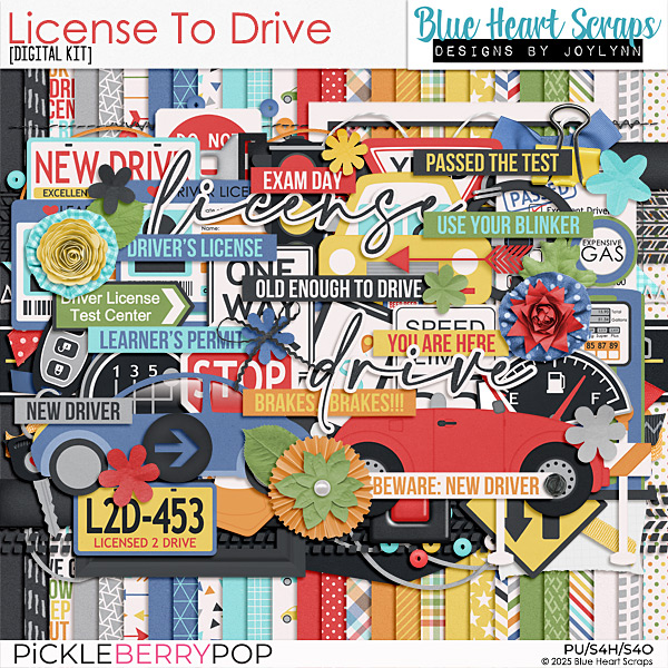 License To Drive Kit