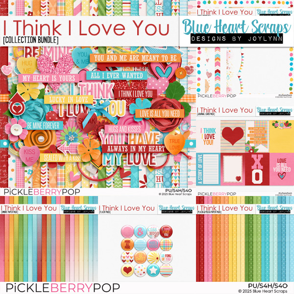 I Think I Love You Collection Bundle