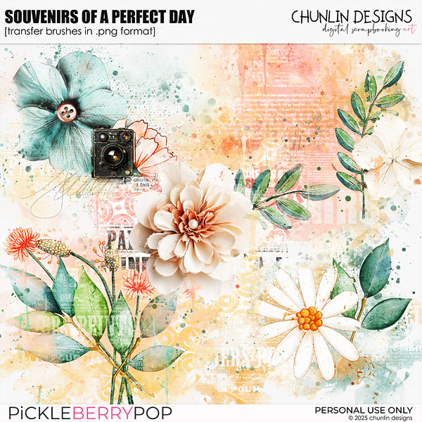 Souvenirs Of A Perfect Day - transfer brushes in .png format