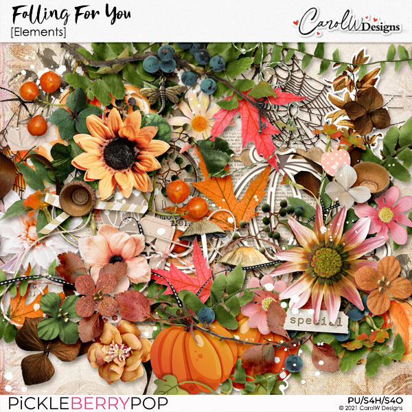 Falling For You-Elements