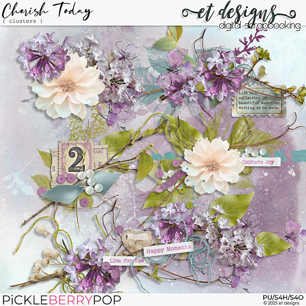 Cherish Today Clusters by et designs