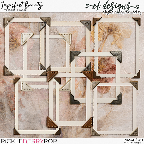 Imperfect Beauty Vintage Frames by et designs