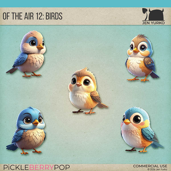 CU Of the Air 12: Birds