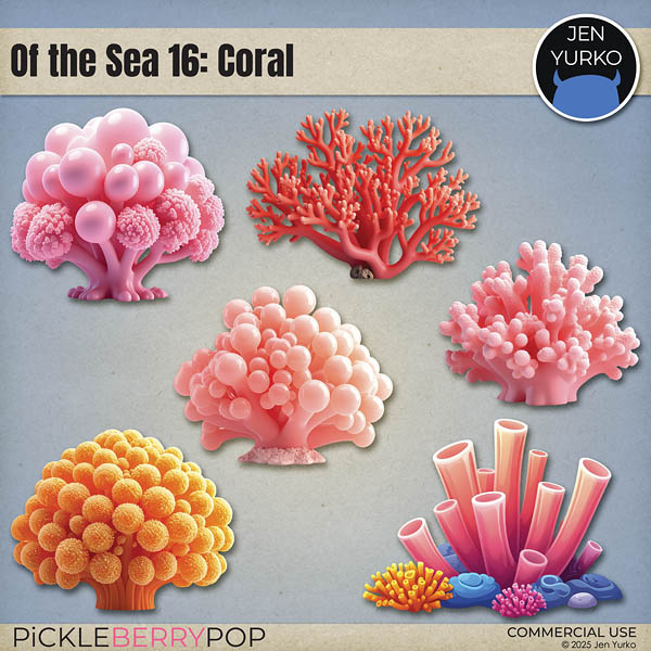 CU Of the Sea 16: Coral