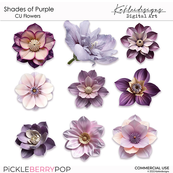 Shades of Purple CU Flowers