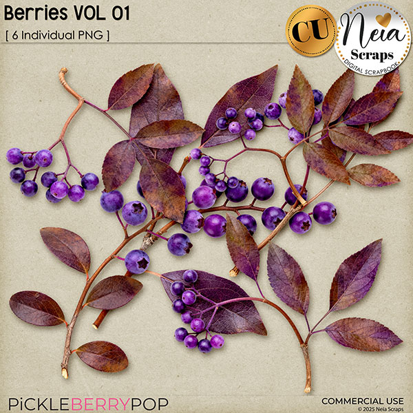 Berries VOL01 - CU - by Neia Scraps