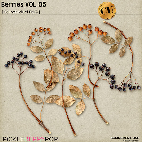 Berries VOL05 - CU - by Neia Scraps