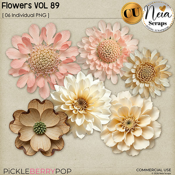 Flowers VOL89 - CU - by Neia Scraps