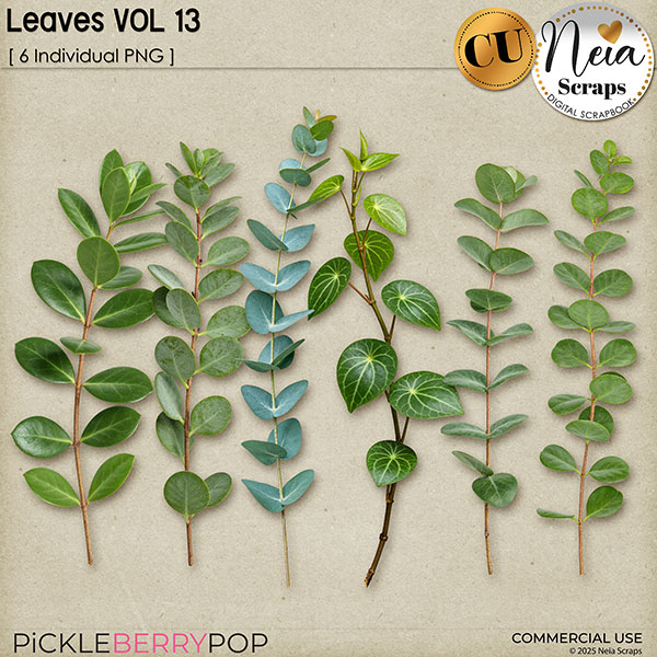 Leaves VOL13 - CU - by Neia Scraps