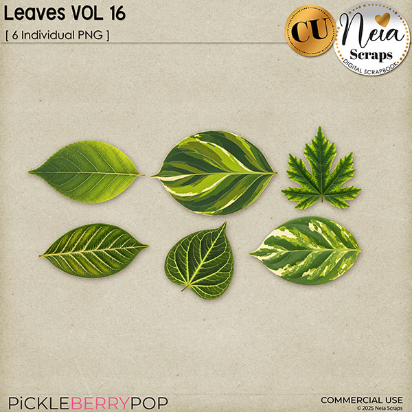 Leaves VOL16 - CU - by Neia Scraps