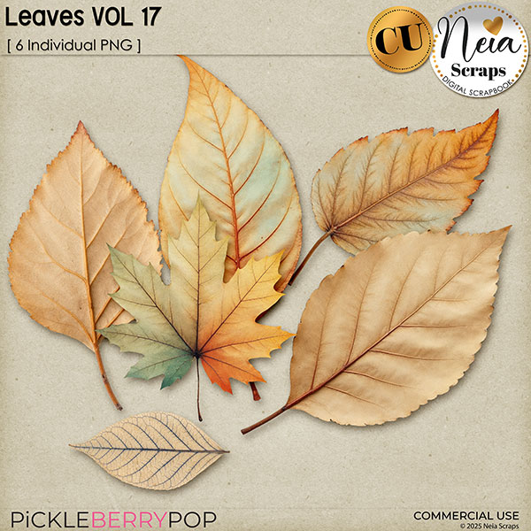 Leaves VOL17 - CU - by Neia Scraps