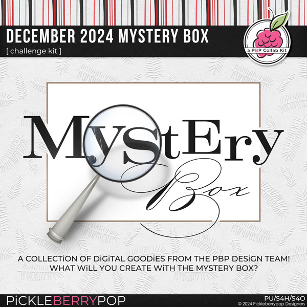 December 2024 Mystery Box