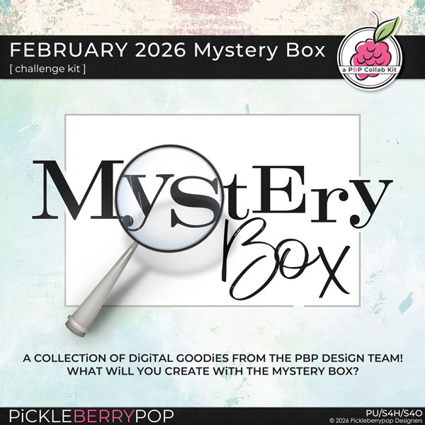 February 2026 Mystery Box