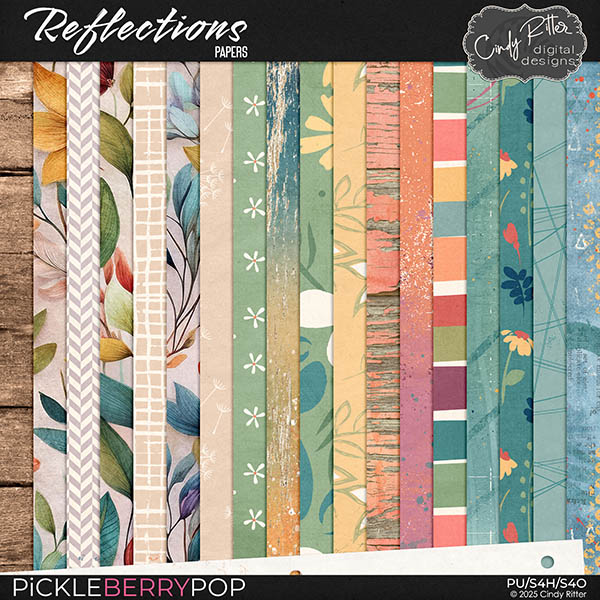 Reflections [Papers] by Cindy Ritter