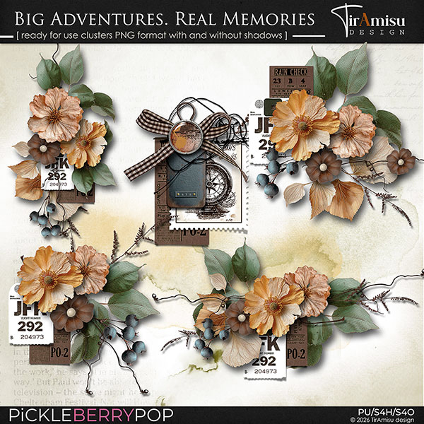 Big Adventures. Real Memories ~ Ready For Use Clusters 