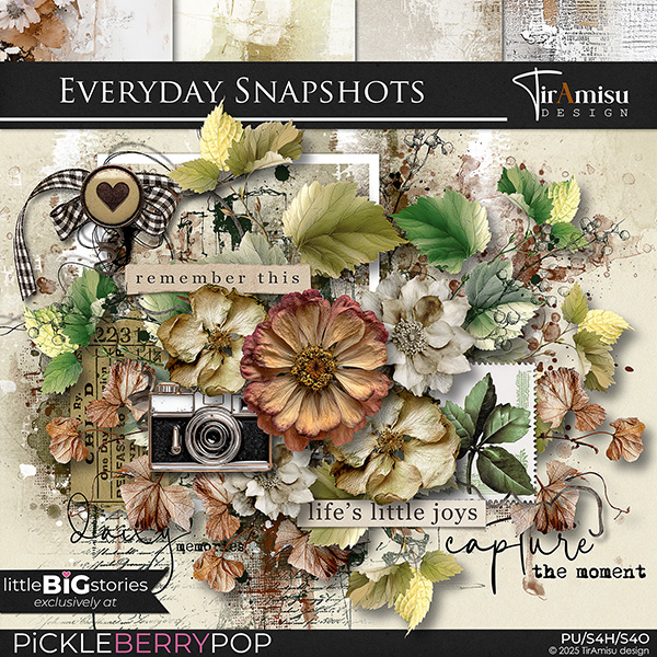 Everyday Snapshots by TirAmisu design 