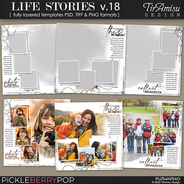 Life Stories Templates vol.18