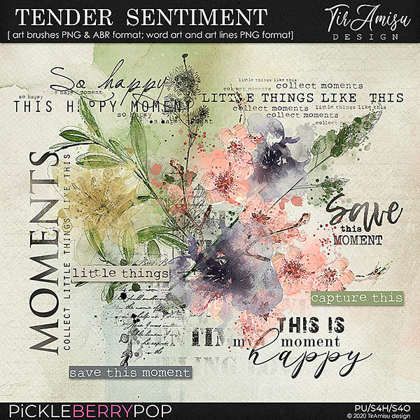 Tender Sentiment~ watercolor brushes and word art 