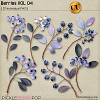Berries VOL04 - CU - by Neia Scraps