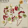 Berries VOL06 - CU - by Neia Scraps