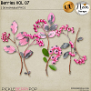 Berries VOL07 - CU - by Neia Scraps