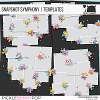 Snapshot Symphony | Templates