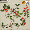 Berries VOL08 - CU - by Neia Scraps