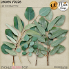 Leaves VOL26 - CU - by Neia Scraps