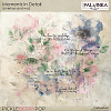 Moments In Detail Overlays and WA