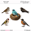 Bird's Nest CU Pack