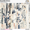 Beautiful Chaos - Special Papers - by Neia Scraps
