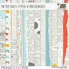 On the Daily | Made to Match | Peek-a-Boo Newsies