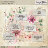 Ordinary Days Overlays and WA