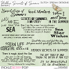 Hidden Secrets of Summer - Wordart