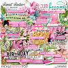 Sweet Sixteen Elements by JB Studio