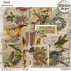 Nest [ephemera] by Sekada Designs  