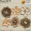 Flowers VOL75 - CU - by Neia Scraps