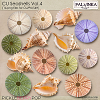 CU Seashells 4