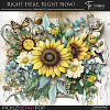 Right Here, Right Now!~ Basic Kit by TirAmisu design