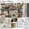 A Life in Pictures - Collection