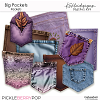 Big Pockets The Pockets 