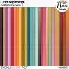 Crisp Beginnings - Solid & Ombré Papers - by Neia Scraps