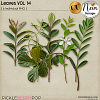 Leaves VOL14 - CU - by Neia Scraps