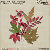 2025 Stuff Your Stockings - CU Sampler by CarolW Designs