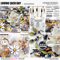 Loving Each Day : BBD bundle