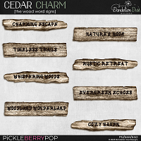 Cedar Charm: Wood Word Signs