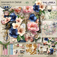 Moments In Detail Collection