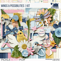 Wings & Possibilities | Essentials | Kit