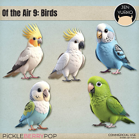 CU Of the Air 9: Birds